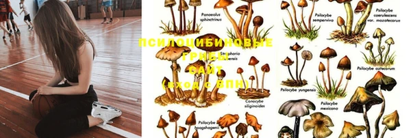 apvp Алексеевка