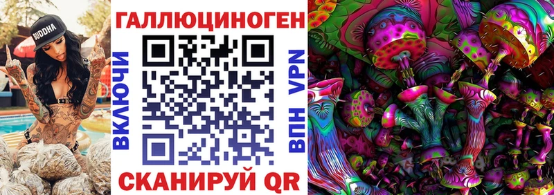 Галлюциногенные грибы Psilocybine cubensis  Боровск 